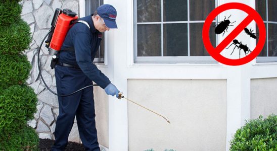 Düziçi Kene İlaçlama böcek ilaçlama ve haşere kontrolü — ilaclama-tr.com
